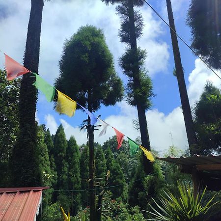 Shanti Samaya Home Stay Vl Ghoom Monastery, Samten Choeling 다르질링 외부 사진